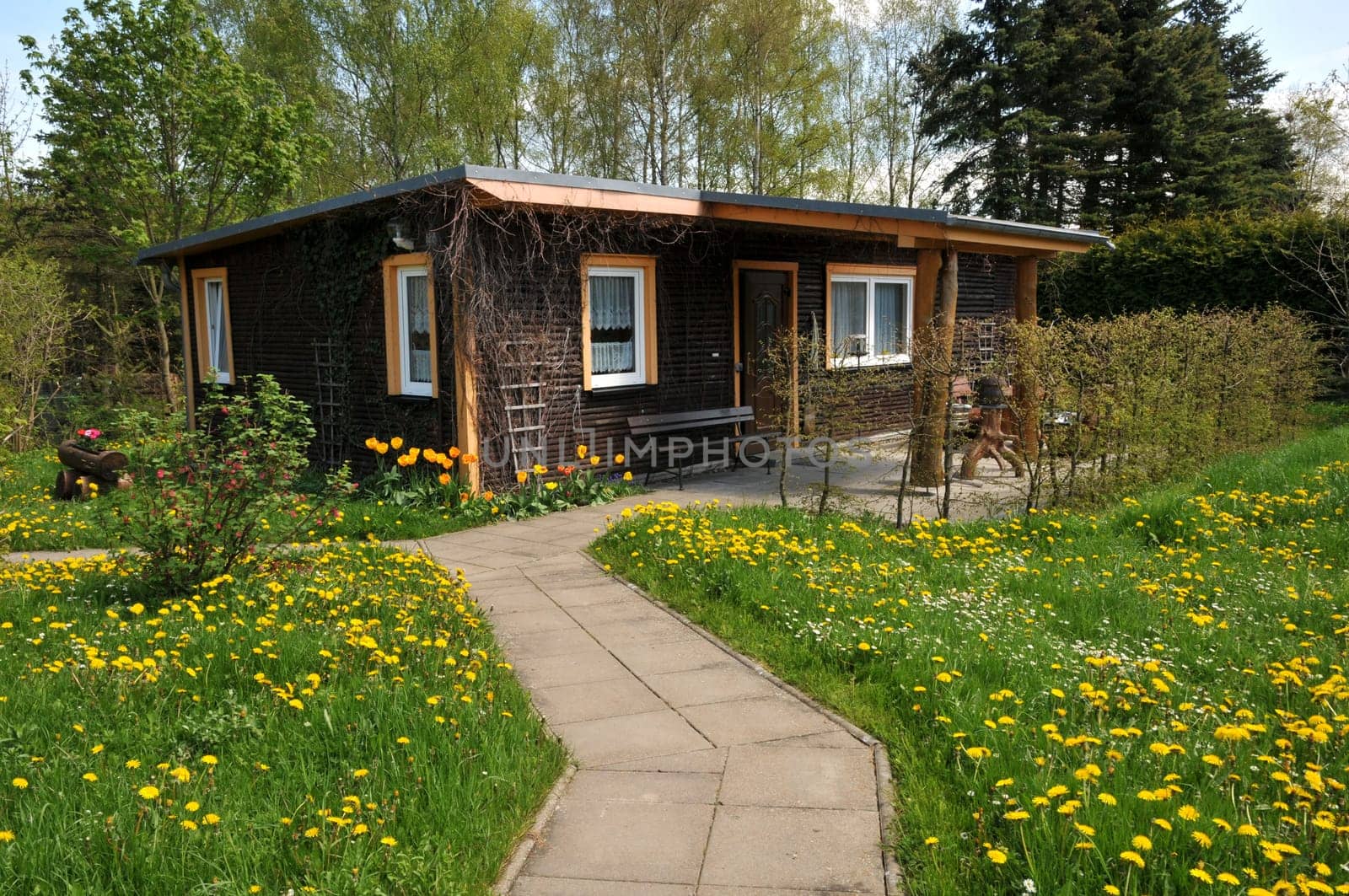 It is my holiday home in the Harz Mountains. There is a PR for the bungalow and the property! - Dieter Möbus -
