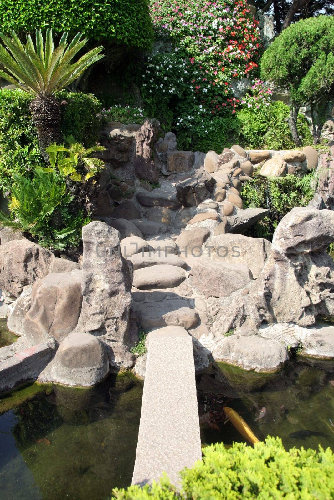 Asian Garden
