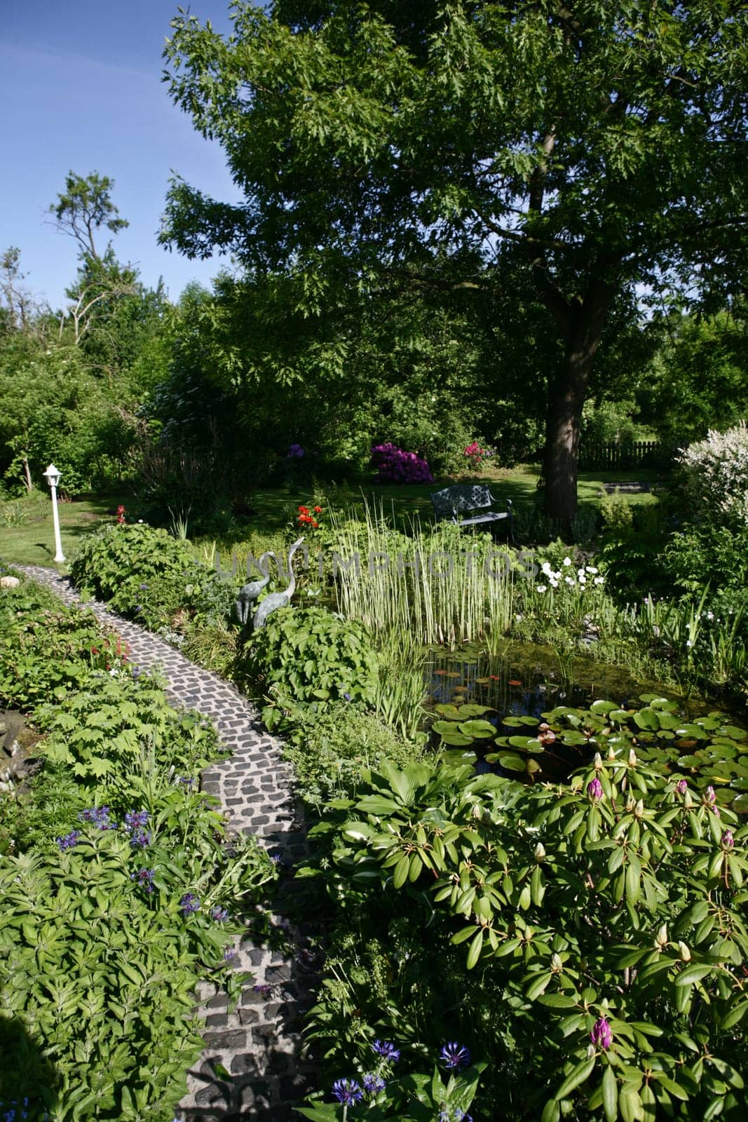 Near-natural garden with garden pond
