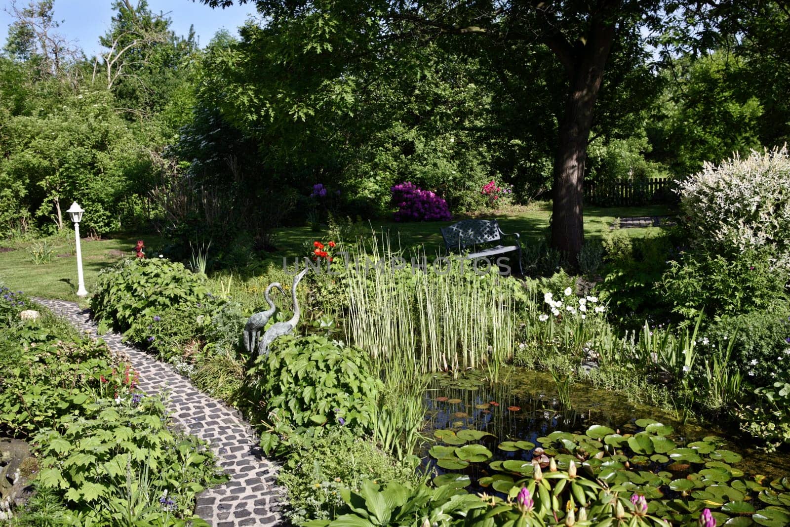 Jay garden with garden pond