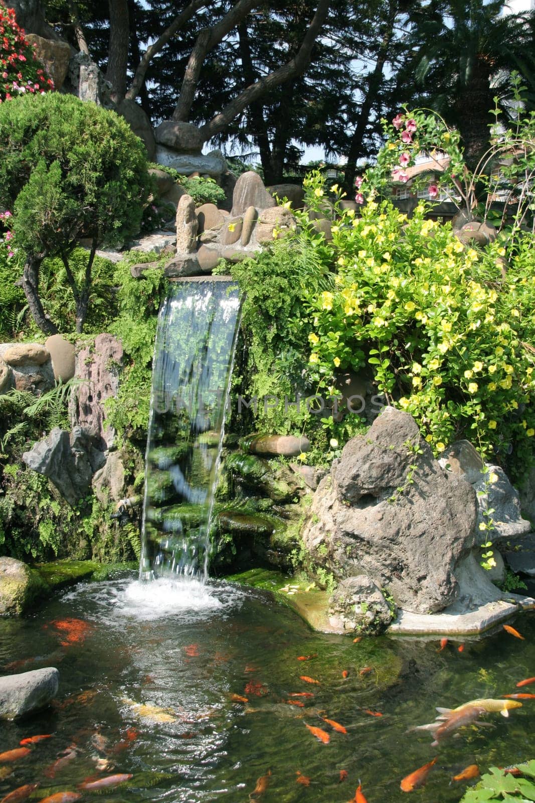Asian Garden