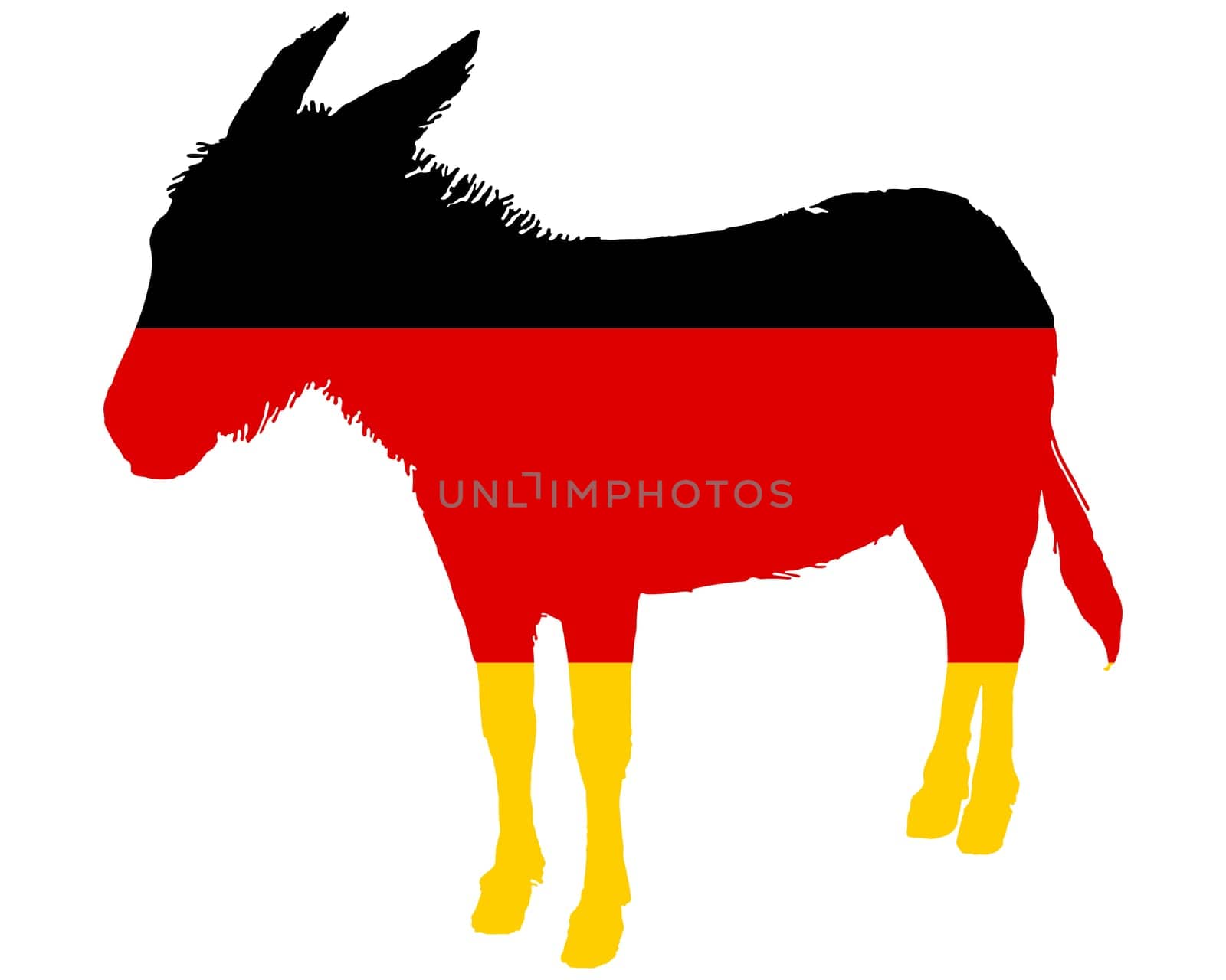 Donkeys in German national colours