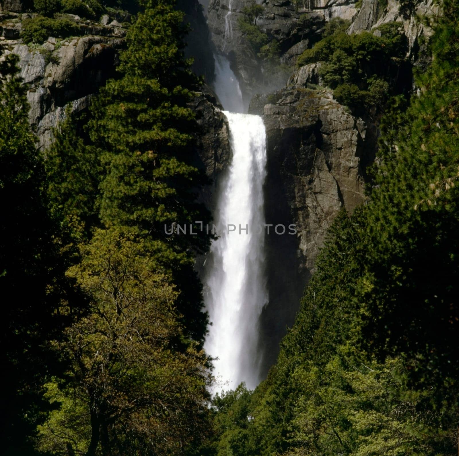 Lower Yosemite Falls