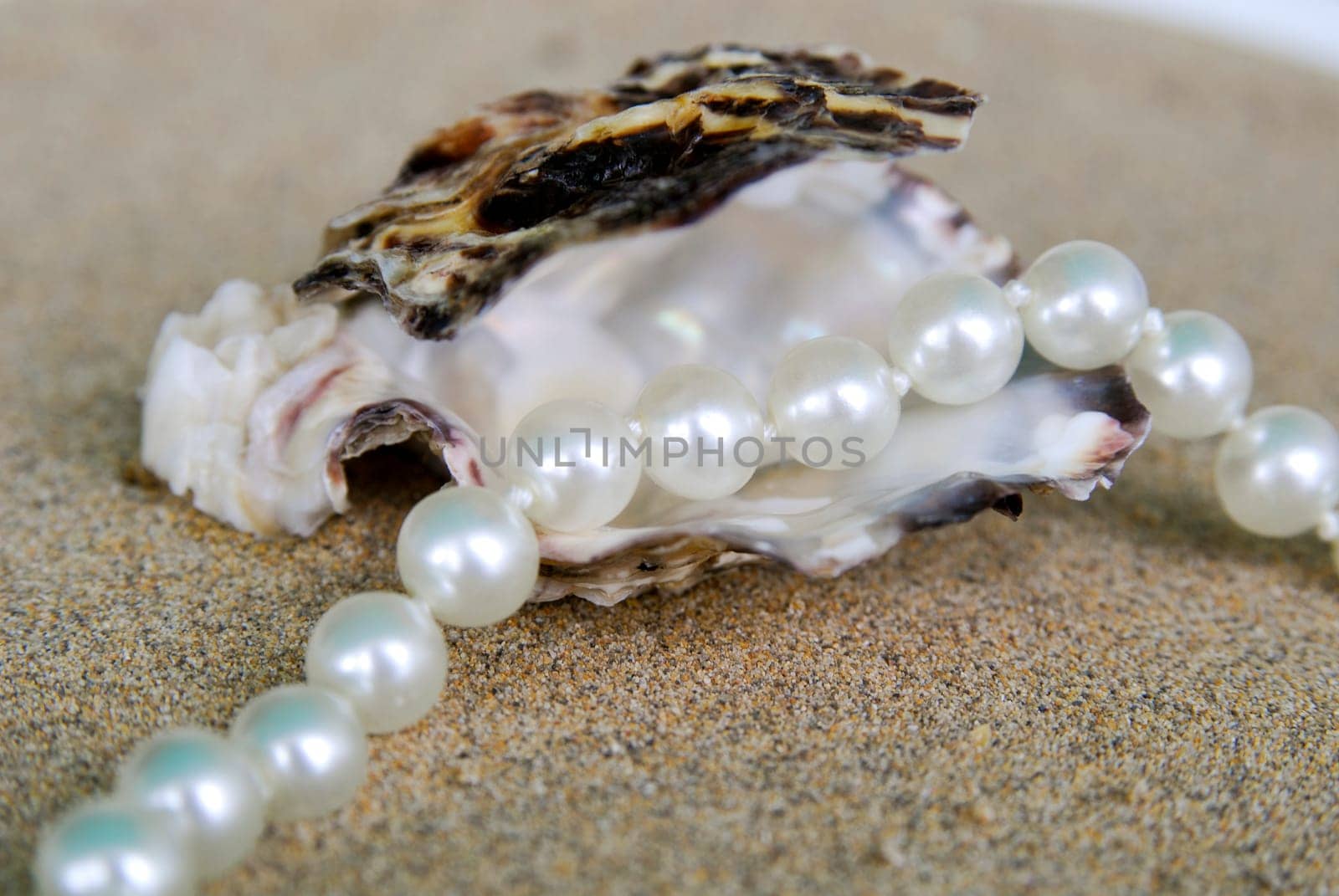 Pearl Necklace 01