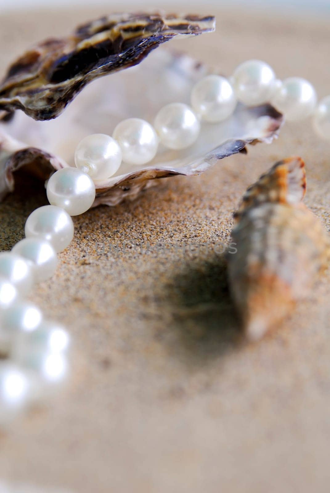 Pearl Necklace 09