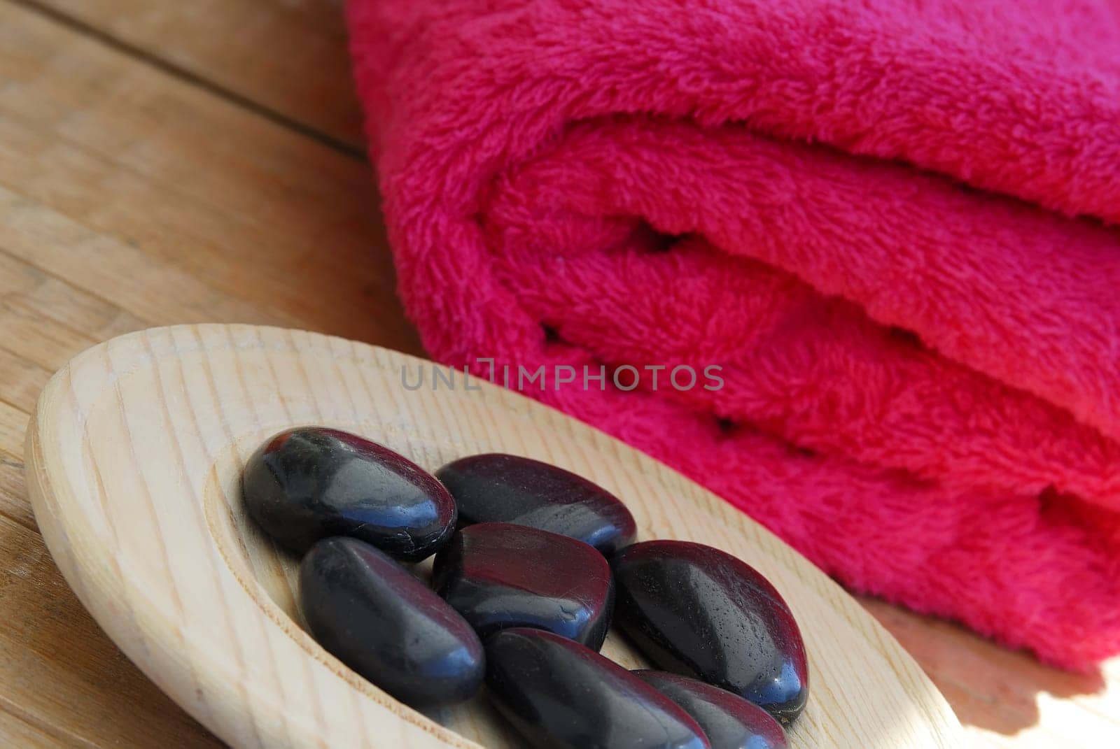 Wellness 31