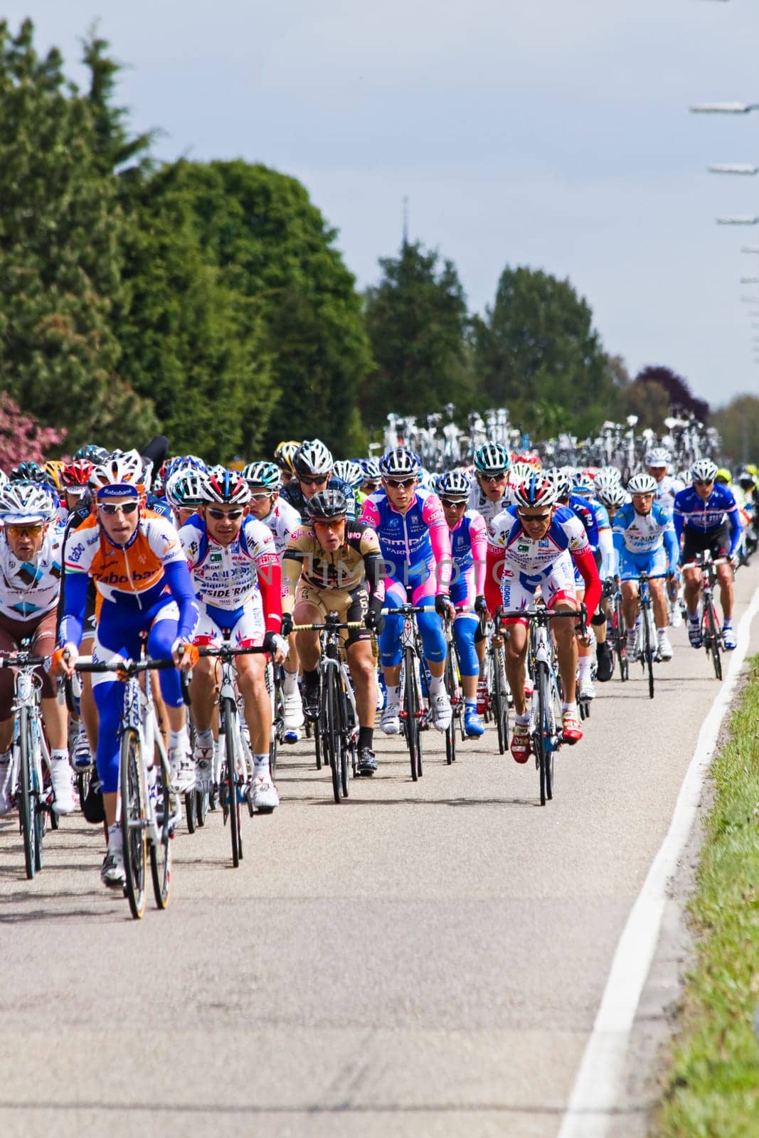 Competitors and following teams in the Giro dItalia passing by on a polderroad i
