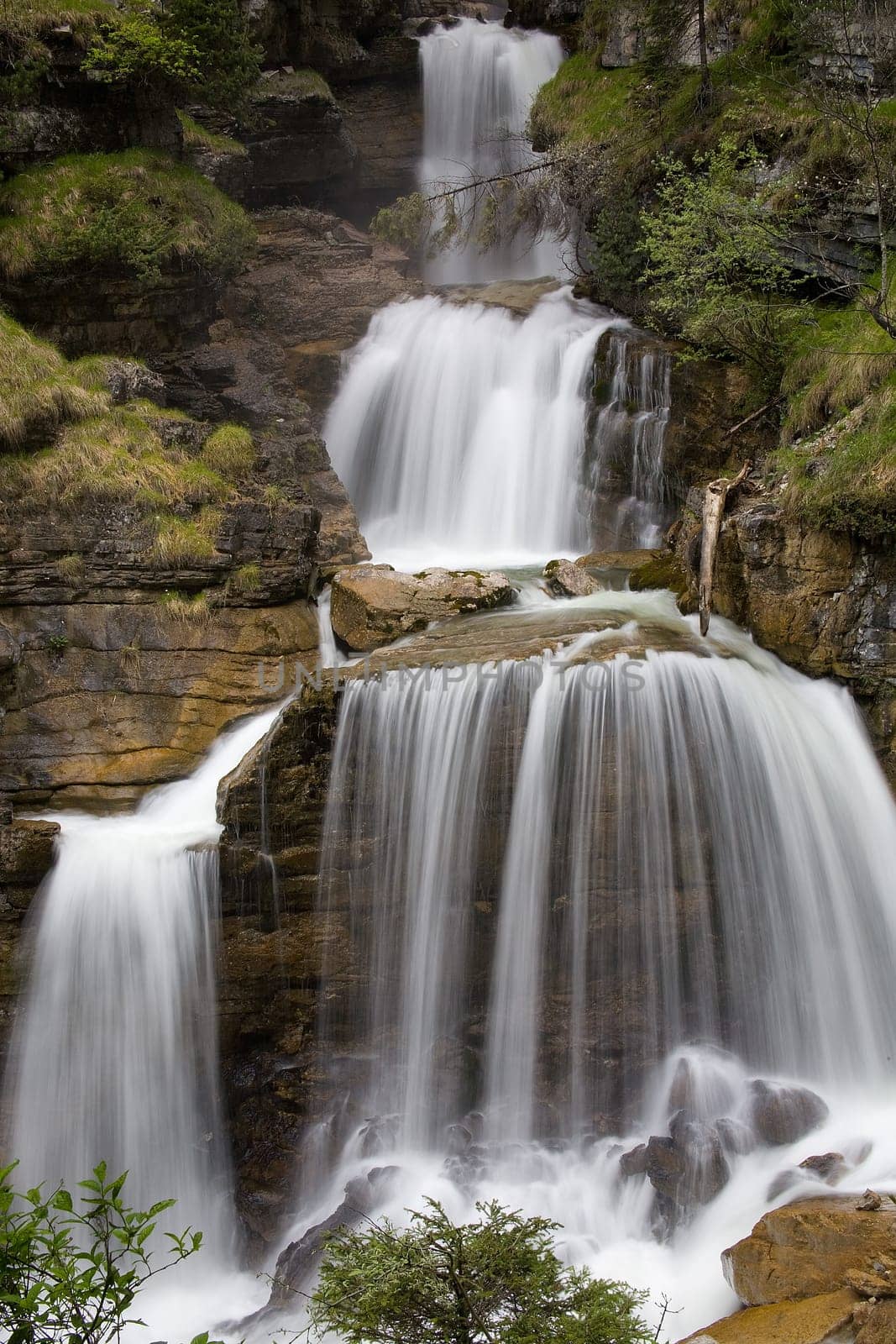 Cow Escape Waterfall