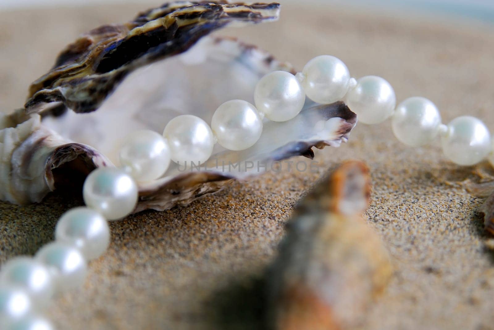 Pearl Necklace 06