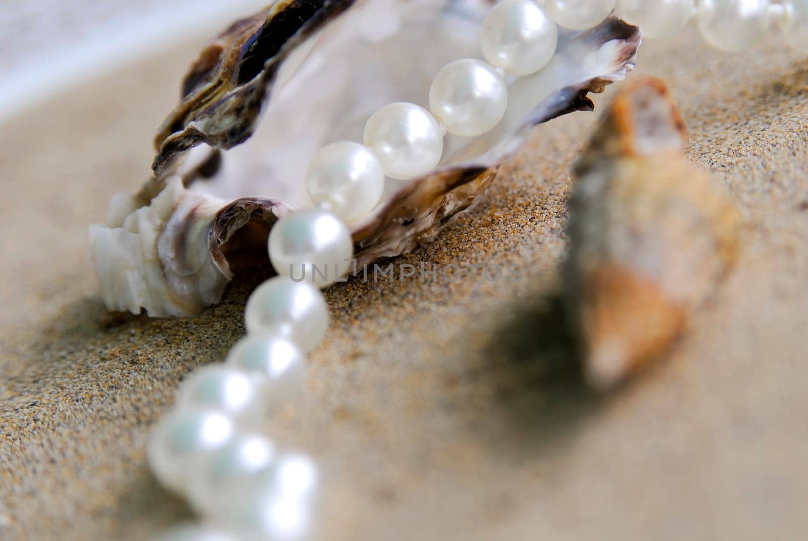 Pearl Necklace 08