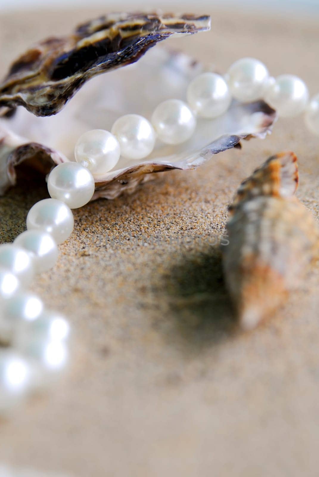 Pearl Necklace 10