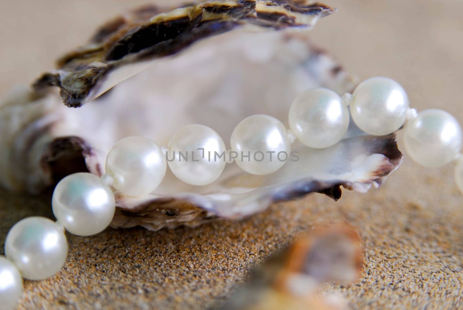 Pearl Necklace 07
