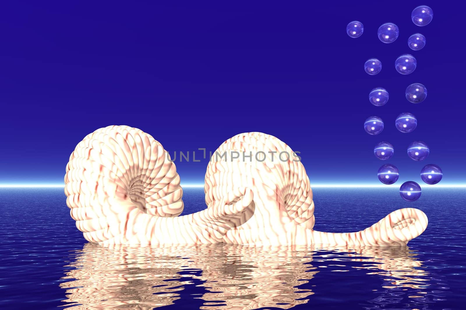 Two shells with air bubbles