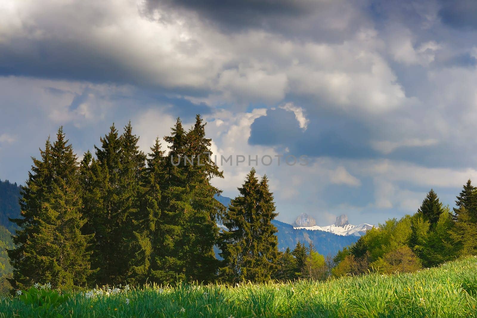 Pleiades with light on Dents du Midi