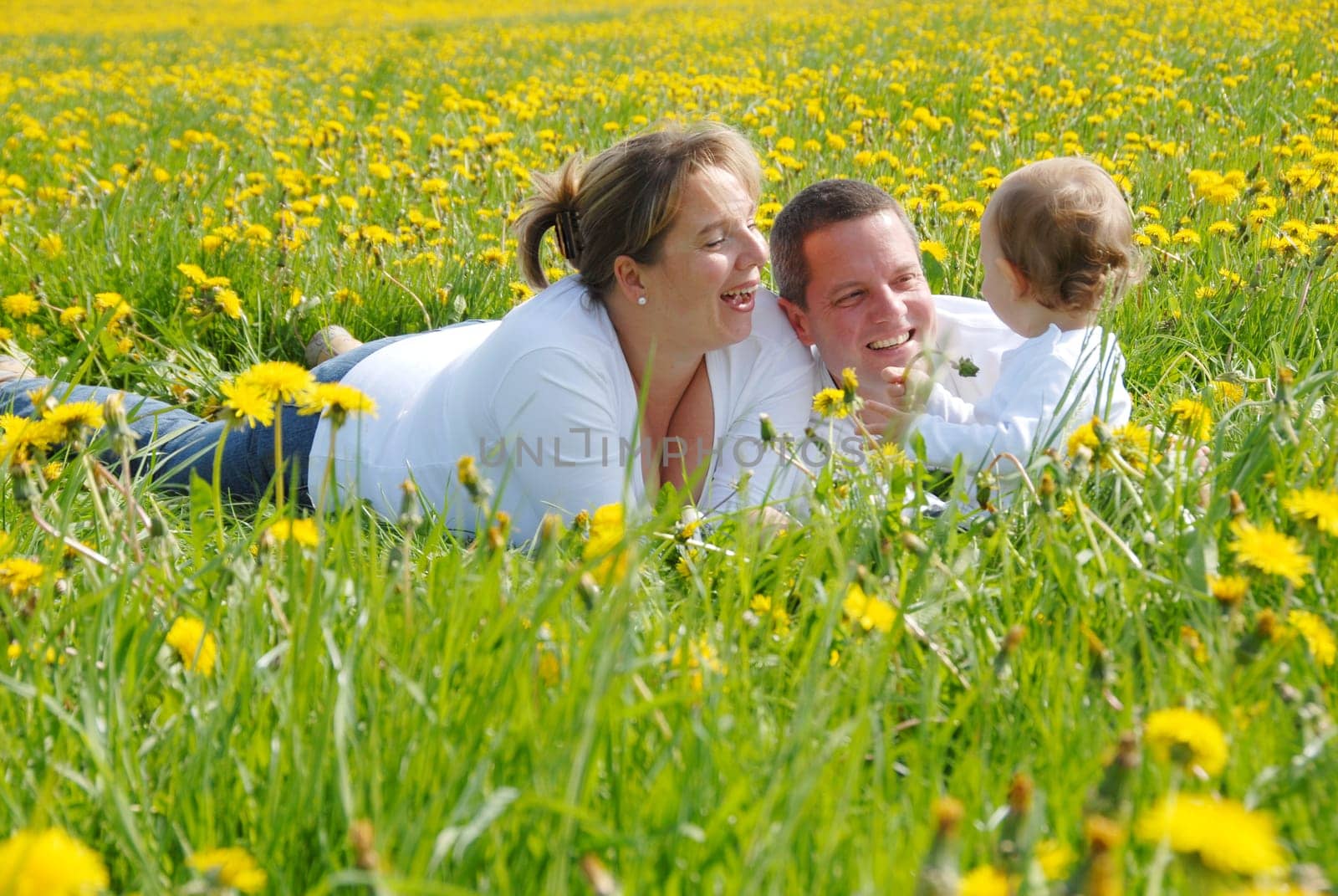 Family with toddler in dandelion field