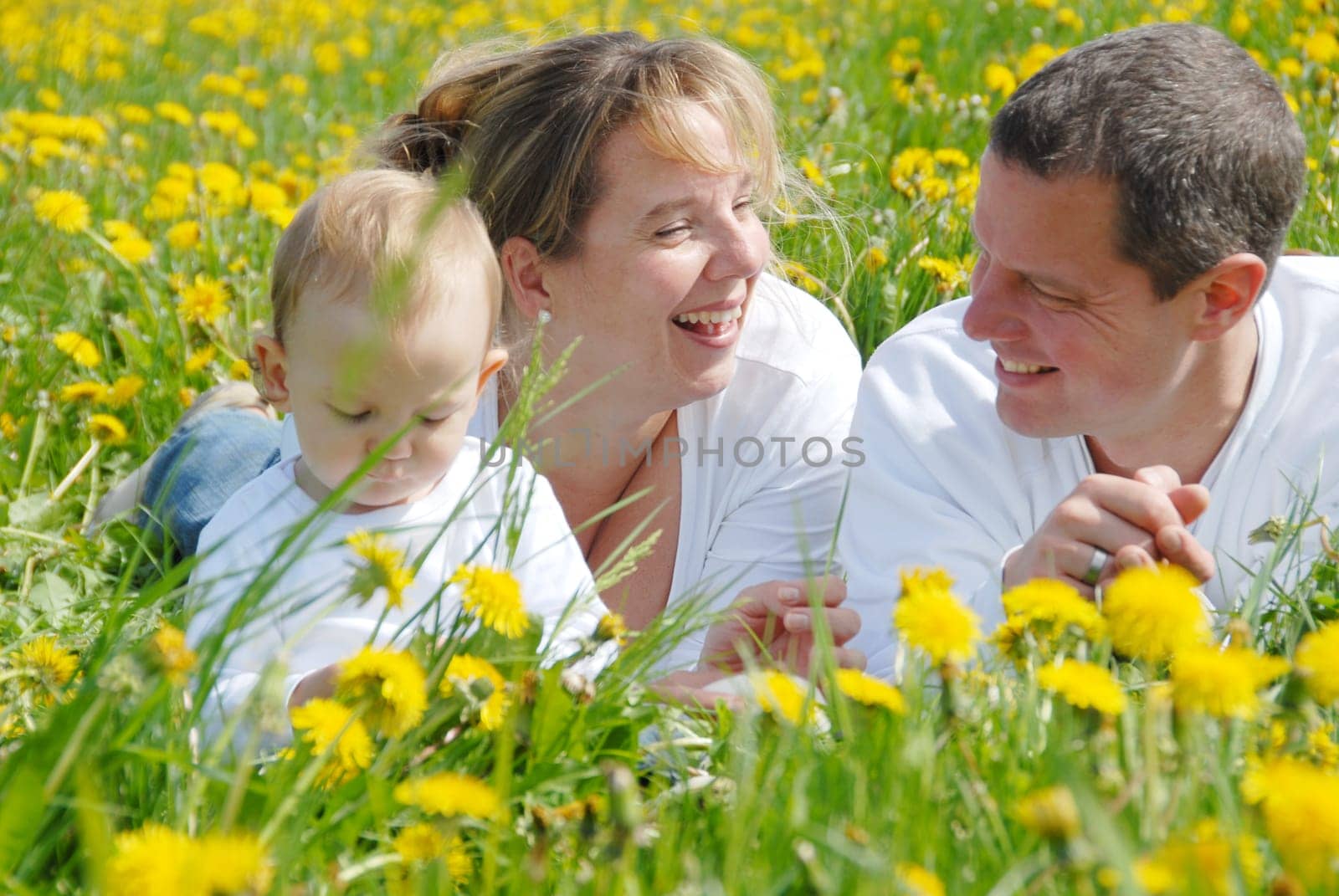 Family with toddler in dandelion field