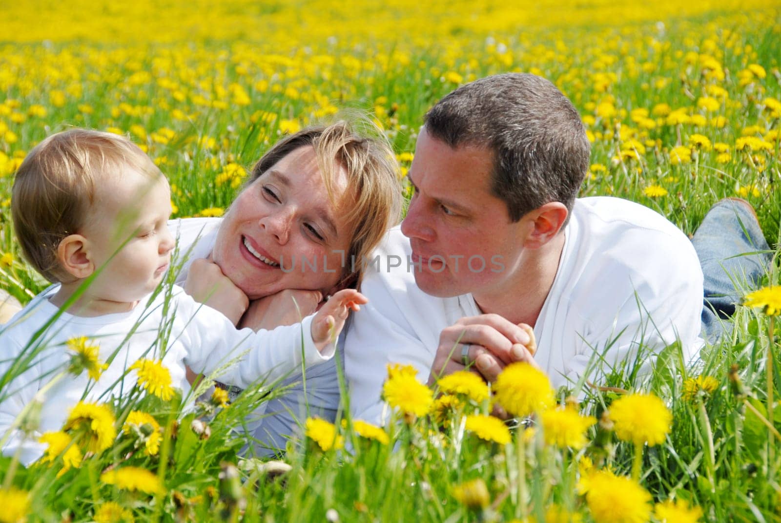 Family with toddler in dandelion field