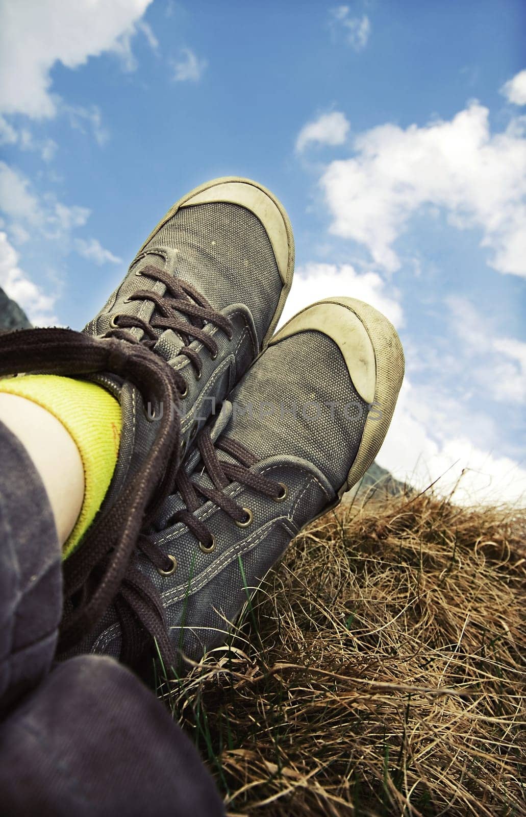 Retro styled sneakers in grass