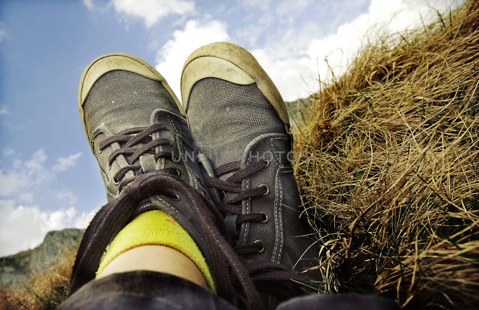 Retro styled sneakers in grass
