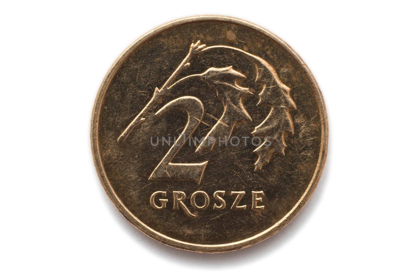 Polish coin