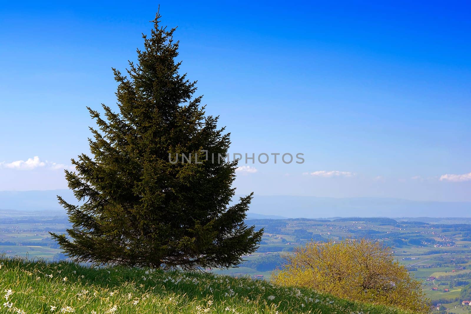 Above the Fribourgerland