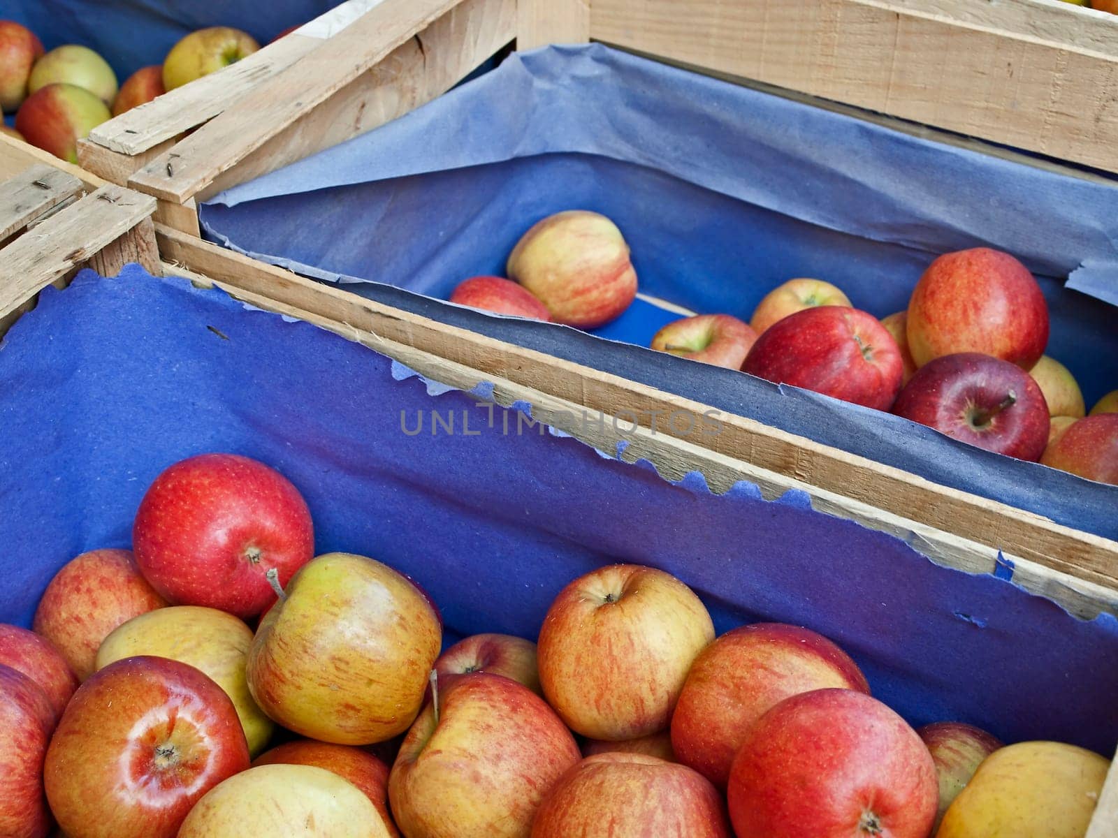 Apples without (New York)