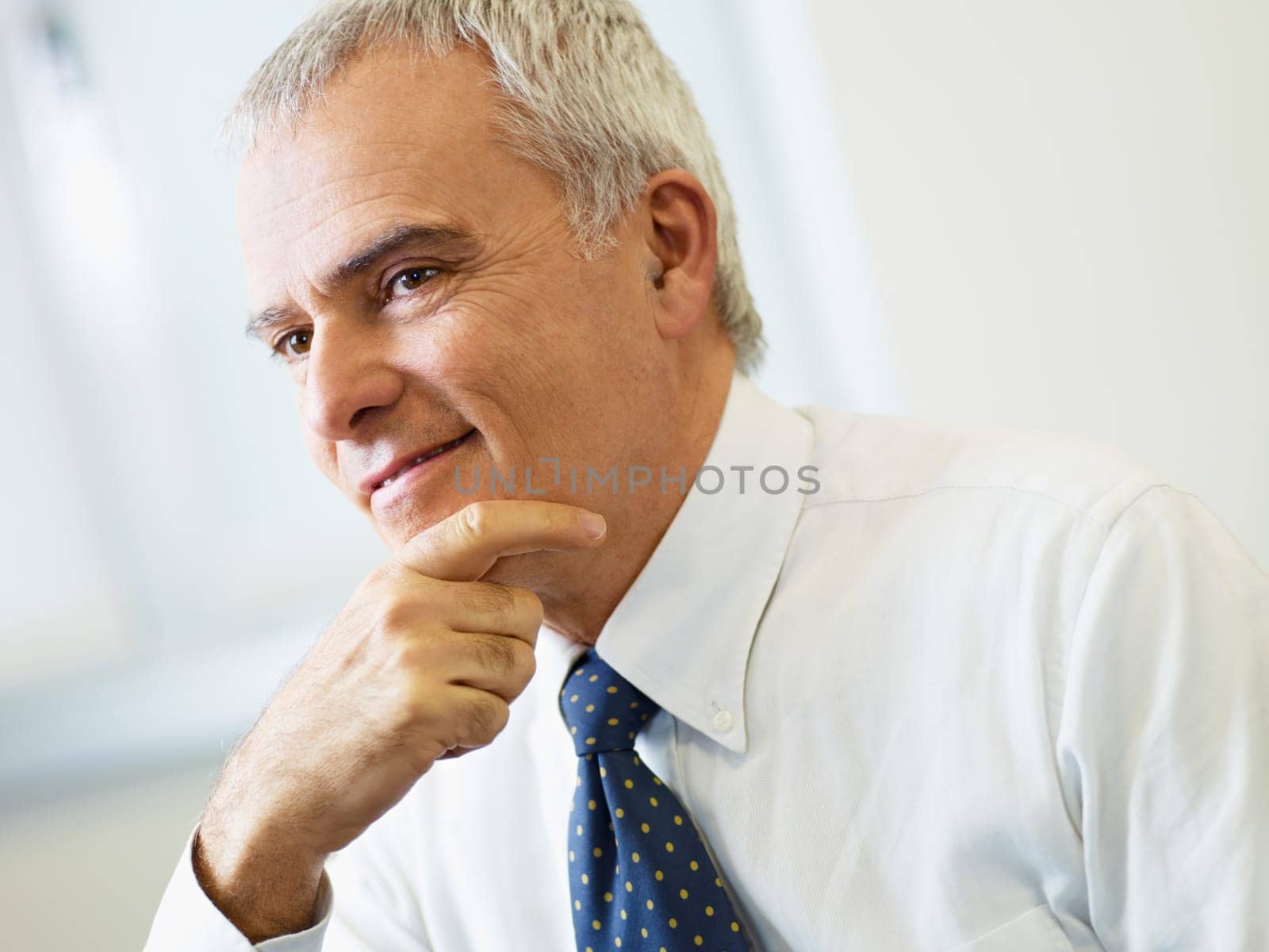mature businessman in office