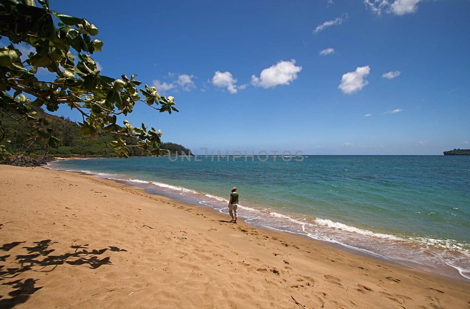 Hawaiian Beach