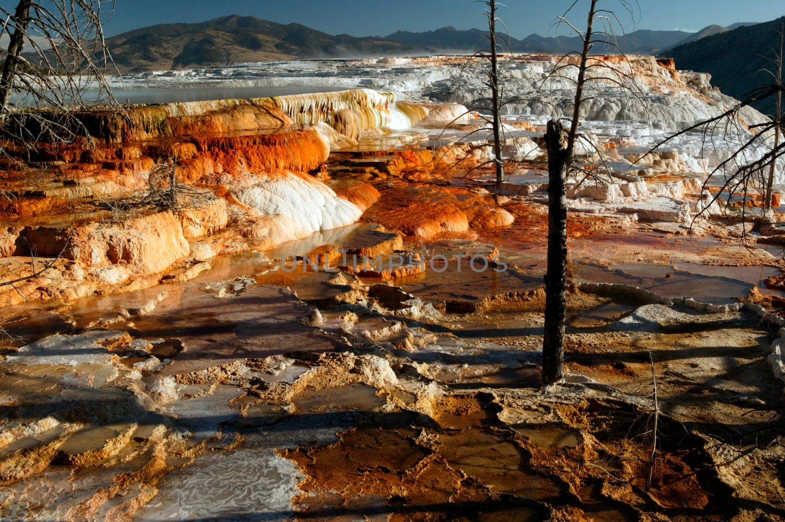 Beauty Of Mammoth Springs