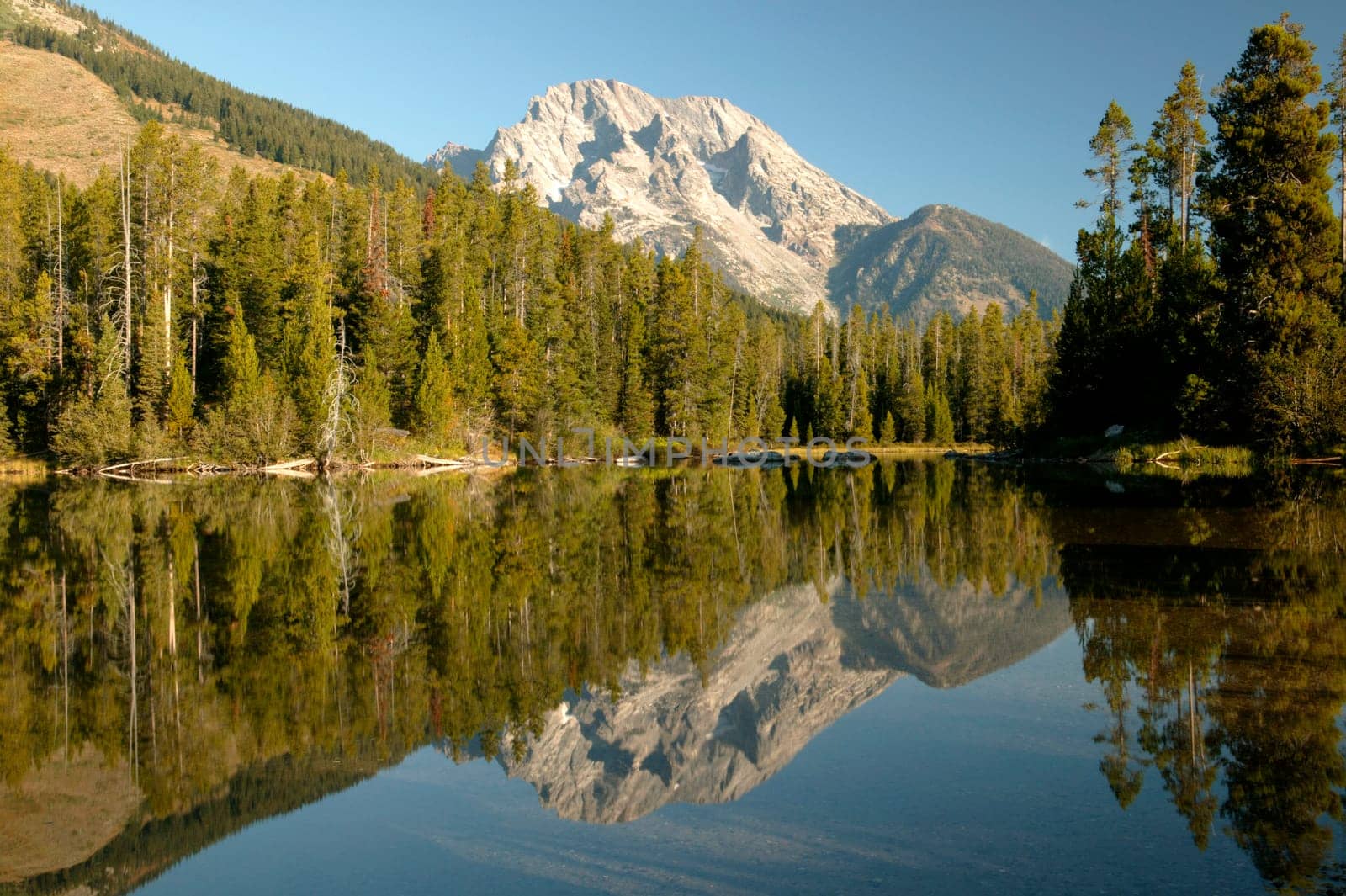 Grand Teton Wilderness Reflective