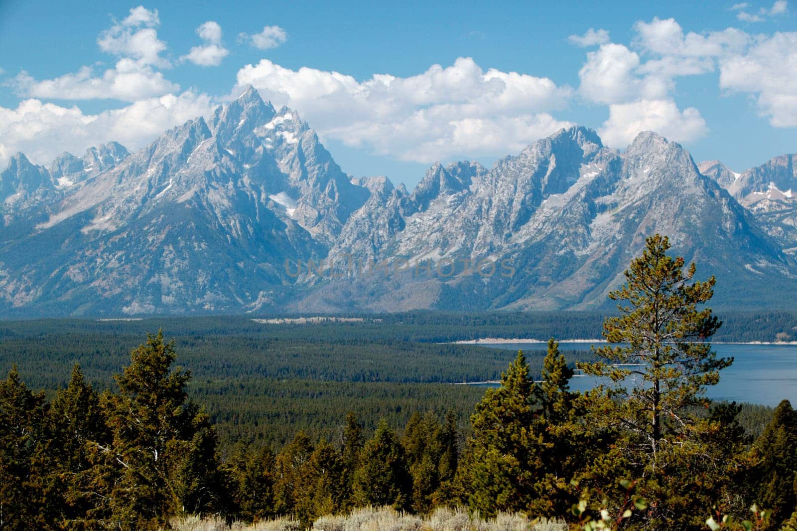 Grand View Of Grand Teton