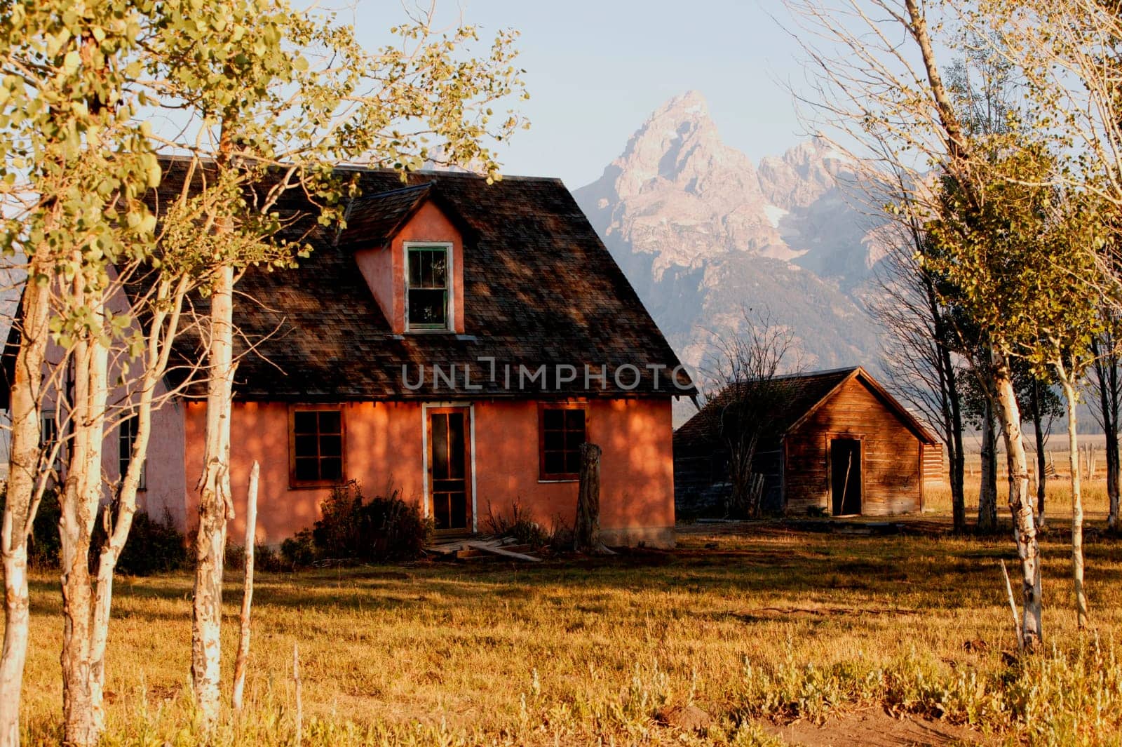 Fresh Morning Light