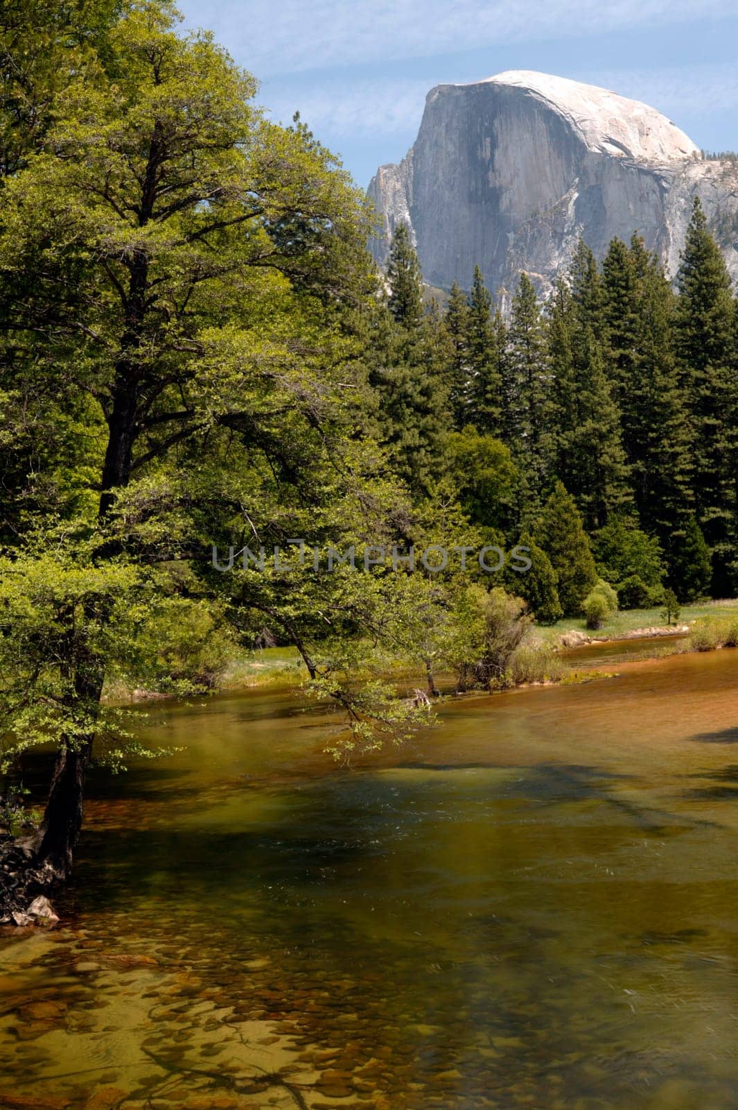 Half Dome View
