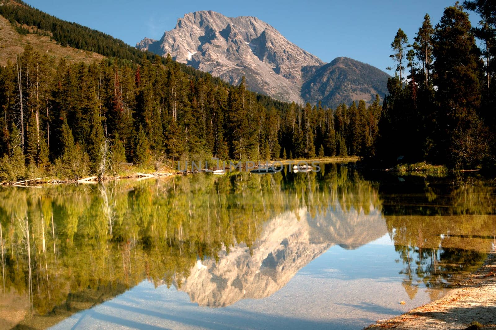 Serenity Of Grand Teton