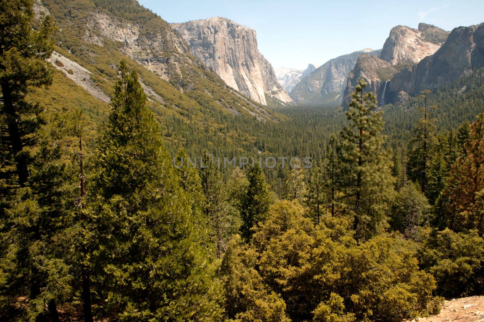 Majestic Yosemite