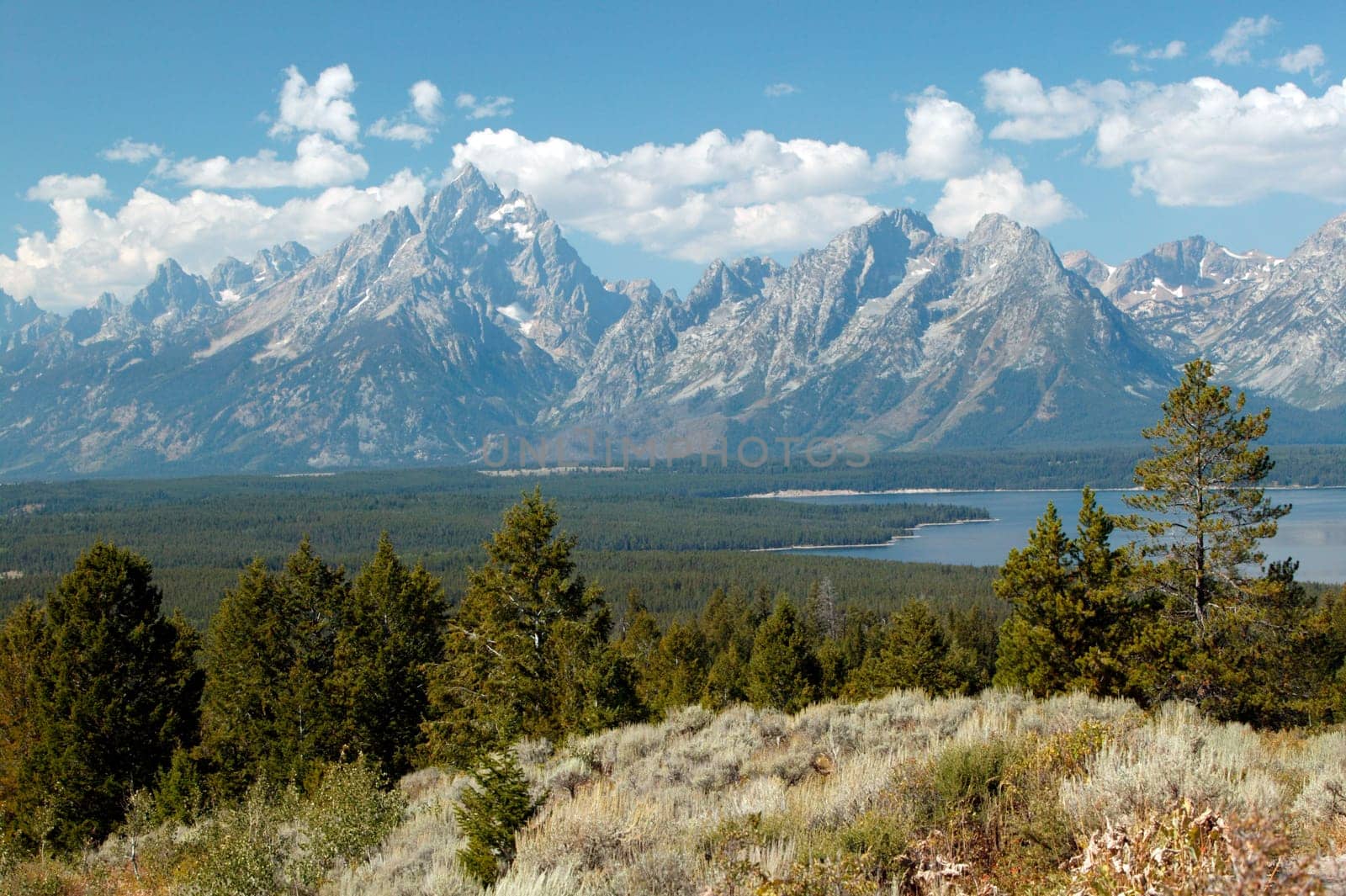 Tranquility Of Grand Teton