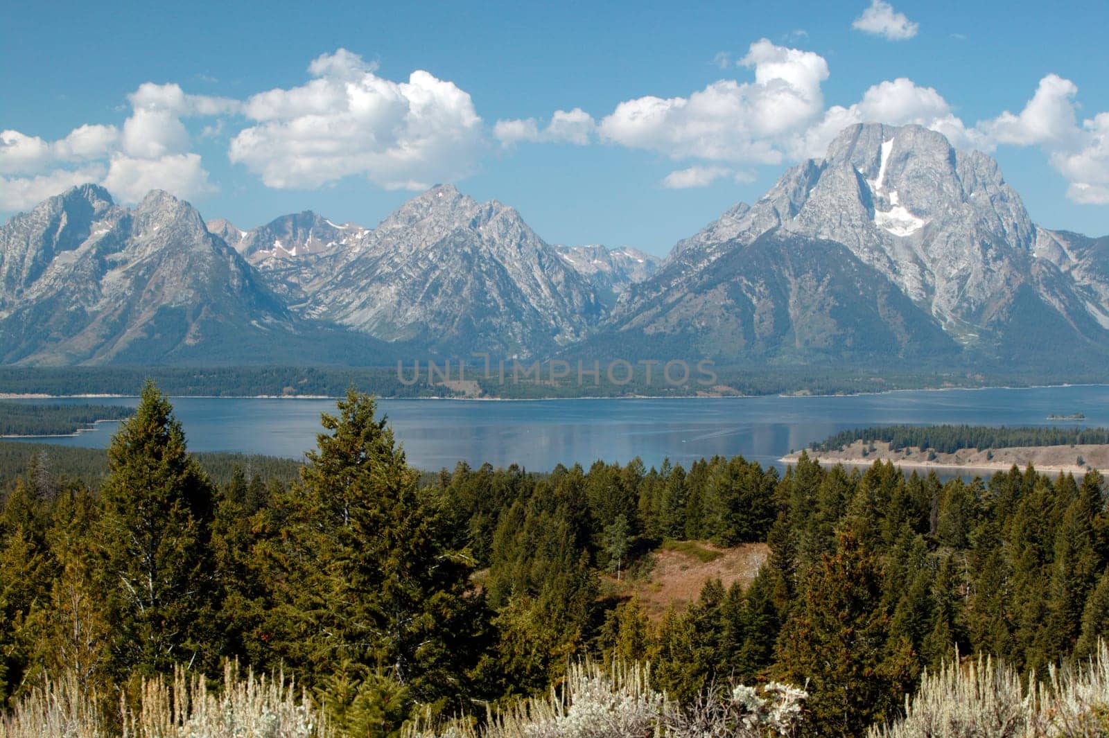 Majesty of Grand Teton