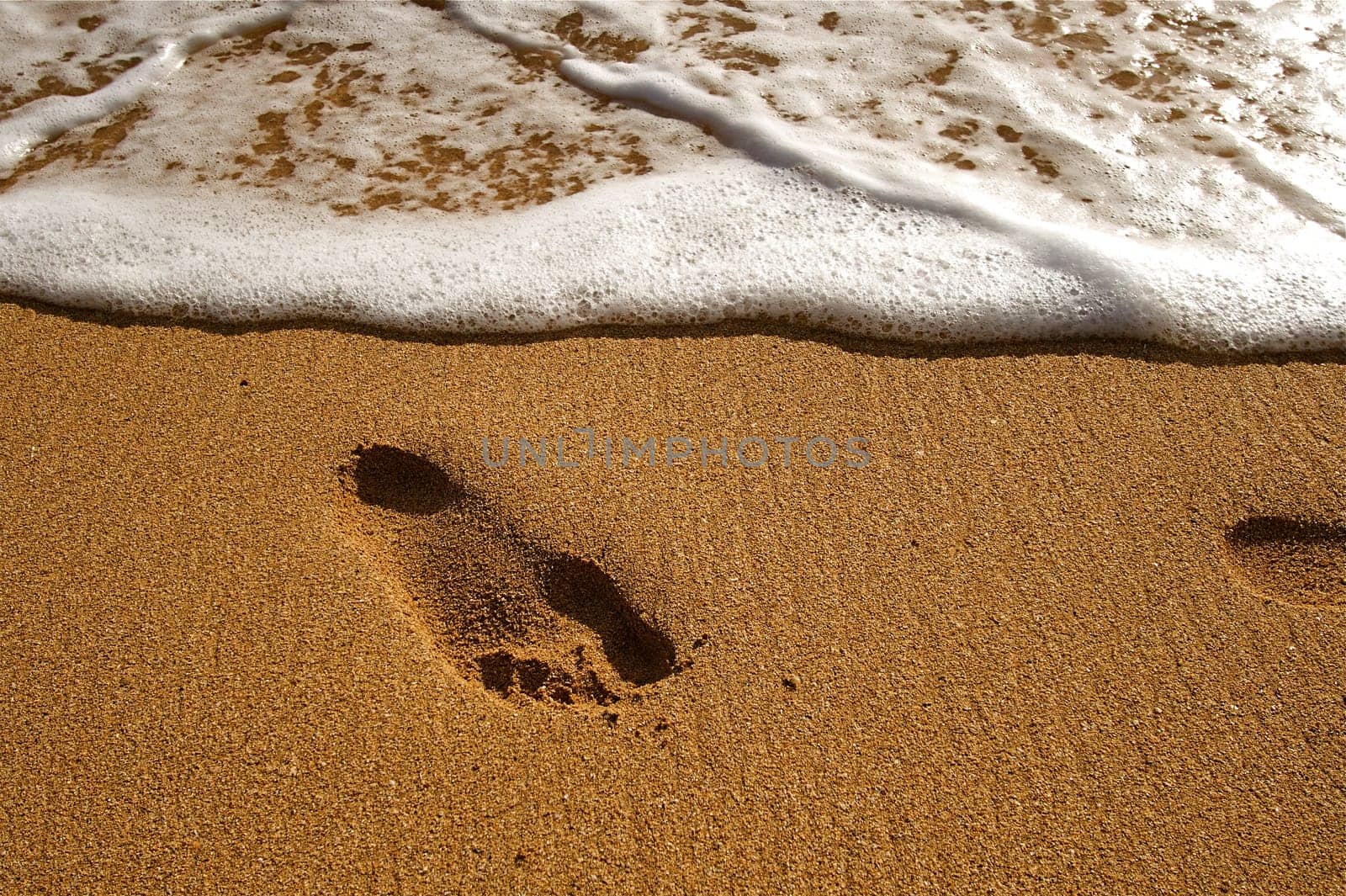 Hawaiian Beach