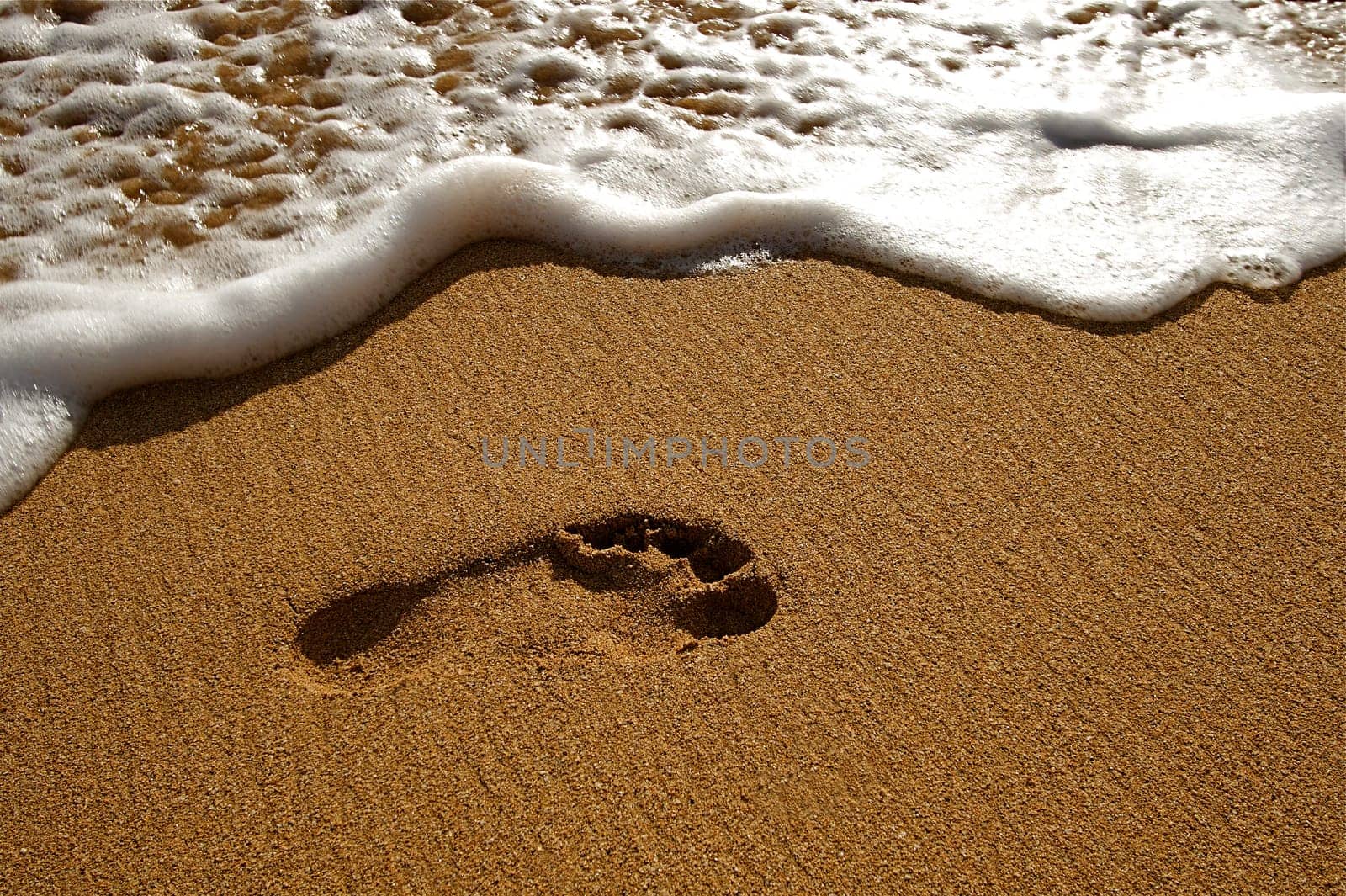 Hawaiian Beach
