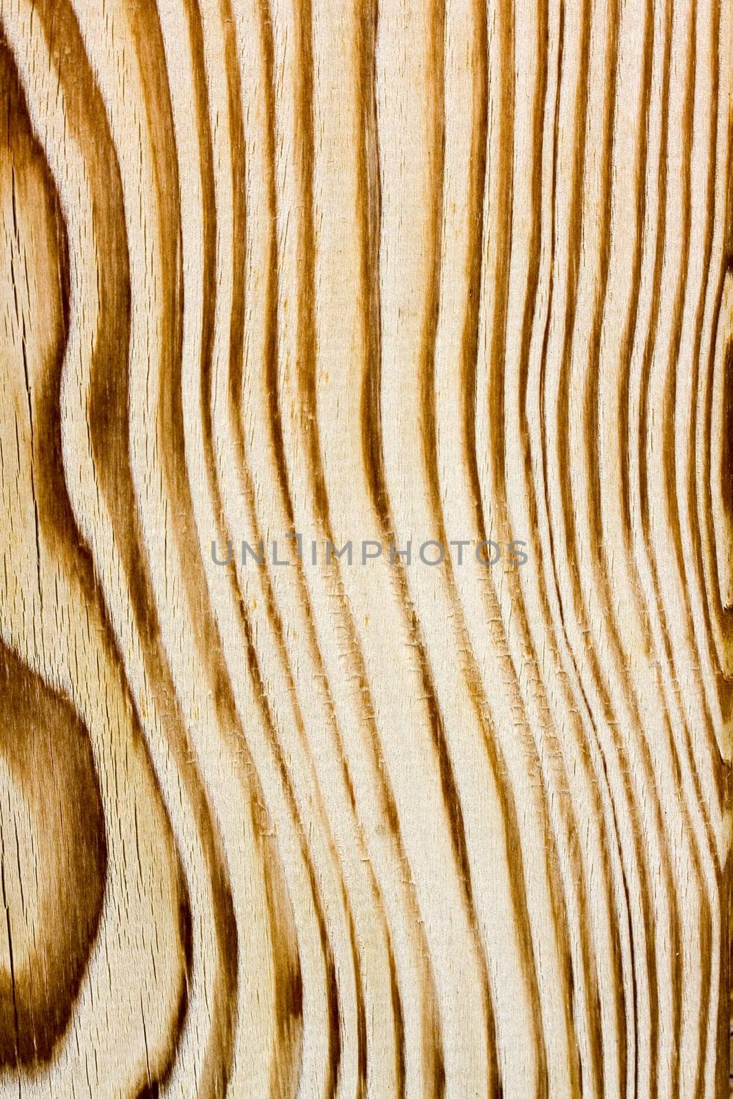 Wood Background
