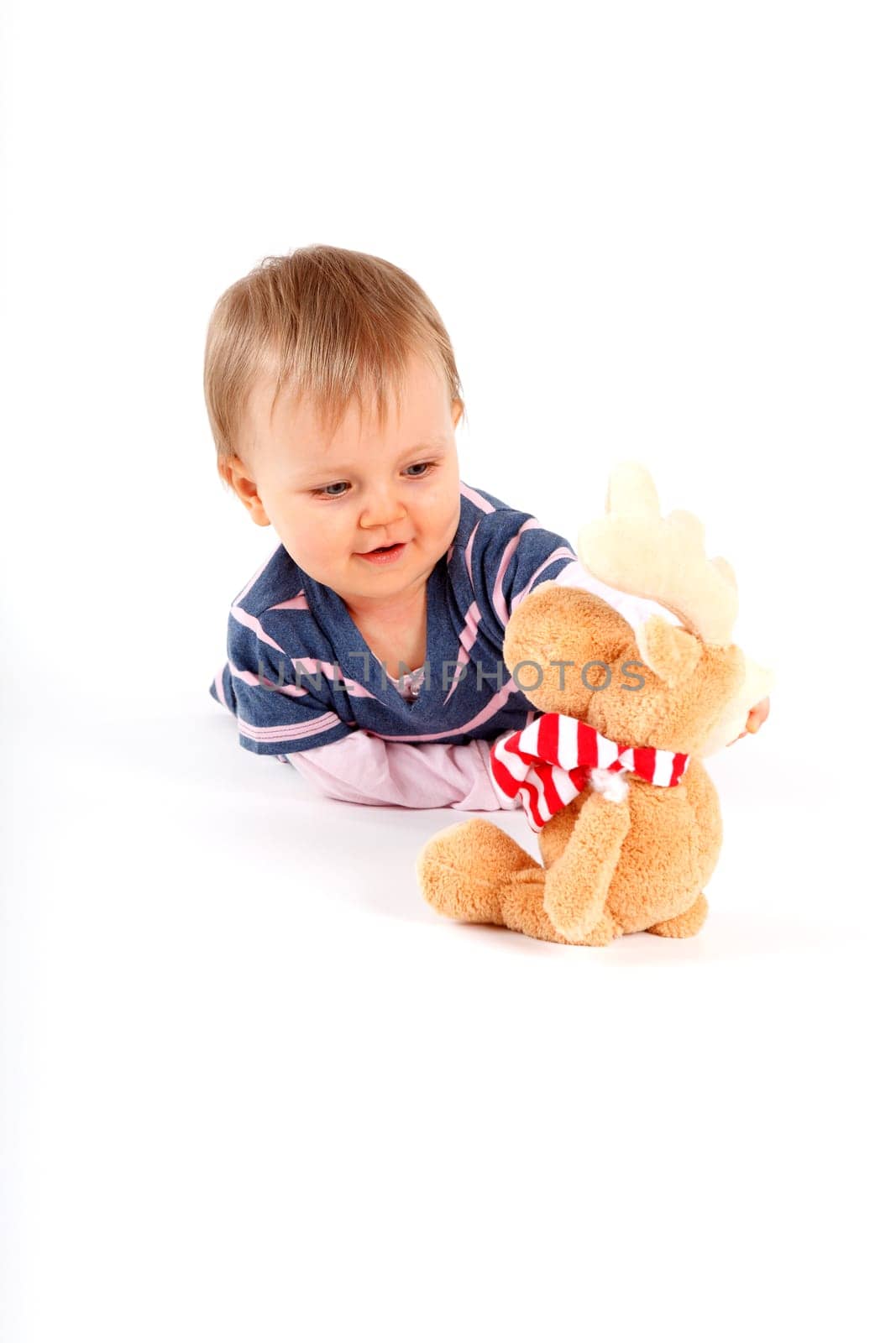 Discover from the cuddly toy
