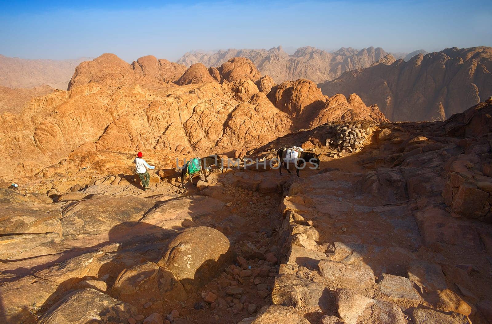 Transport of goods to the Djebel Moses