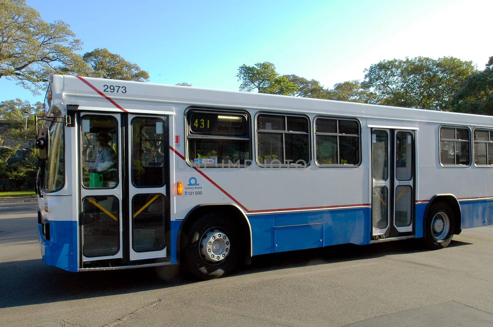 sydney bus