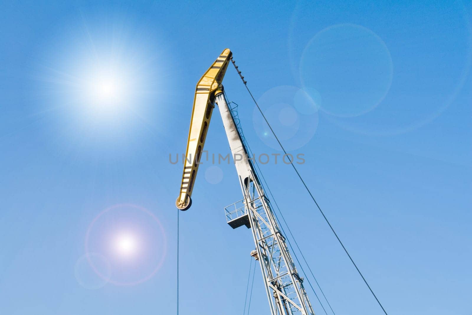 crane