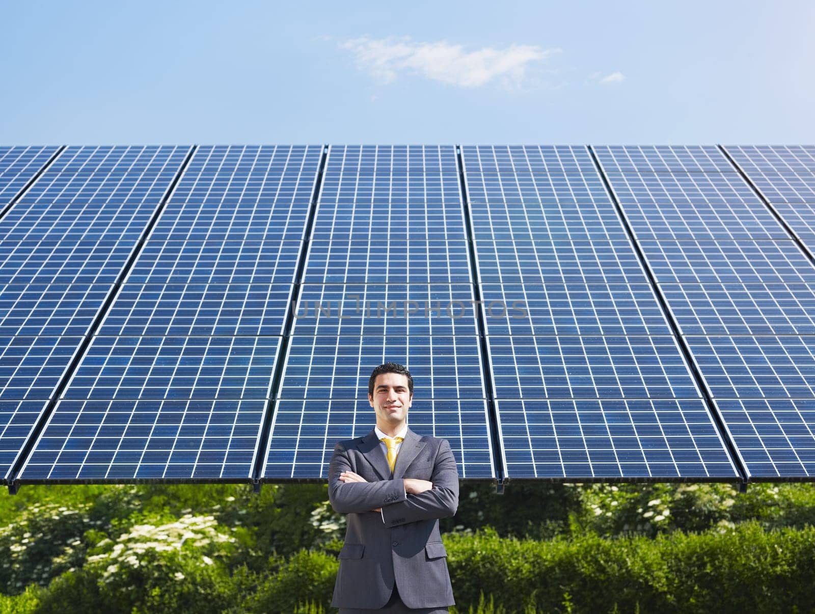businessman and solar panels