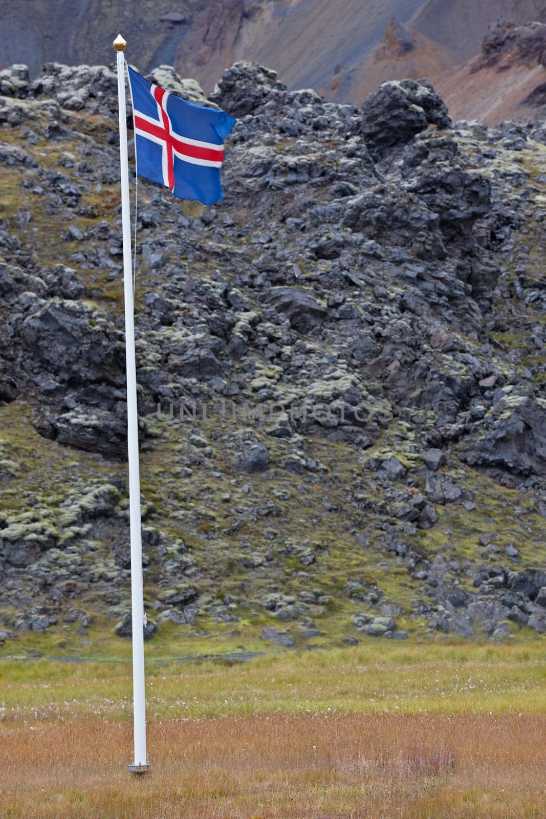 Icelandic flag