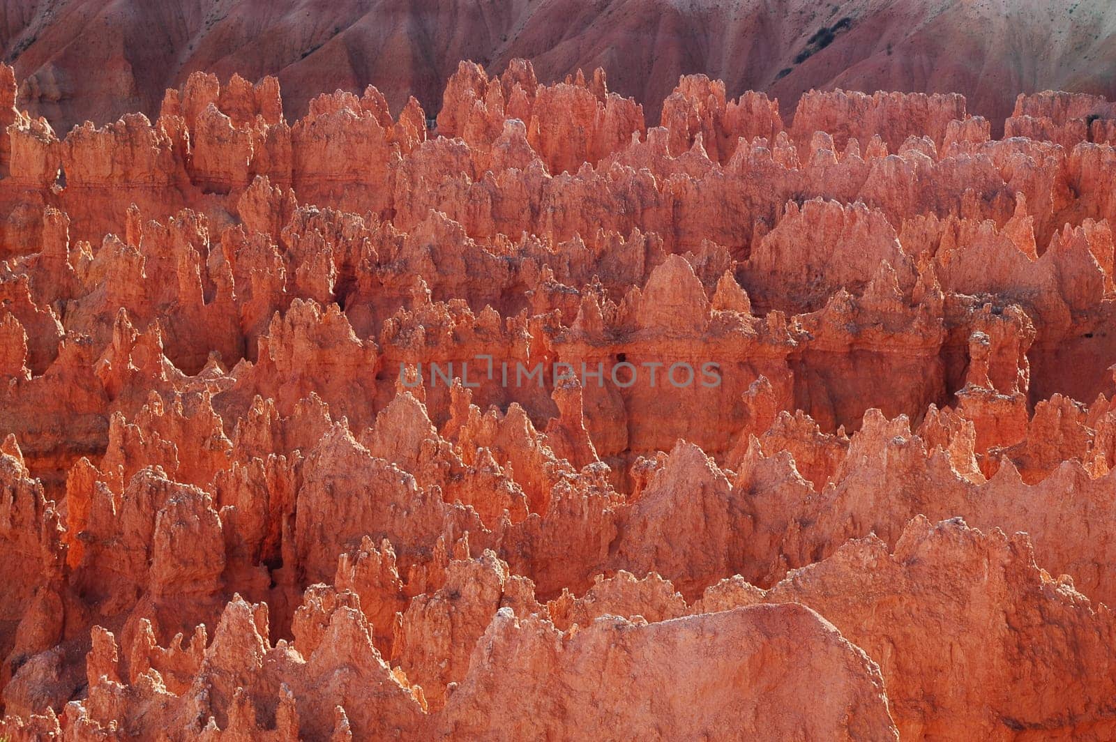 Bryce Canyon Evening Mood