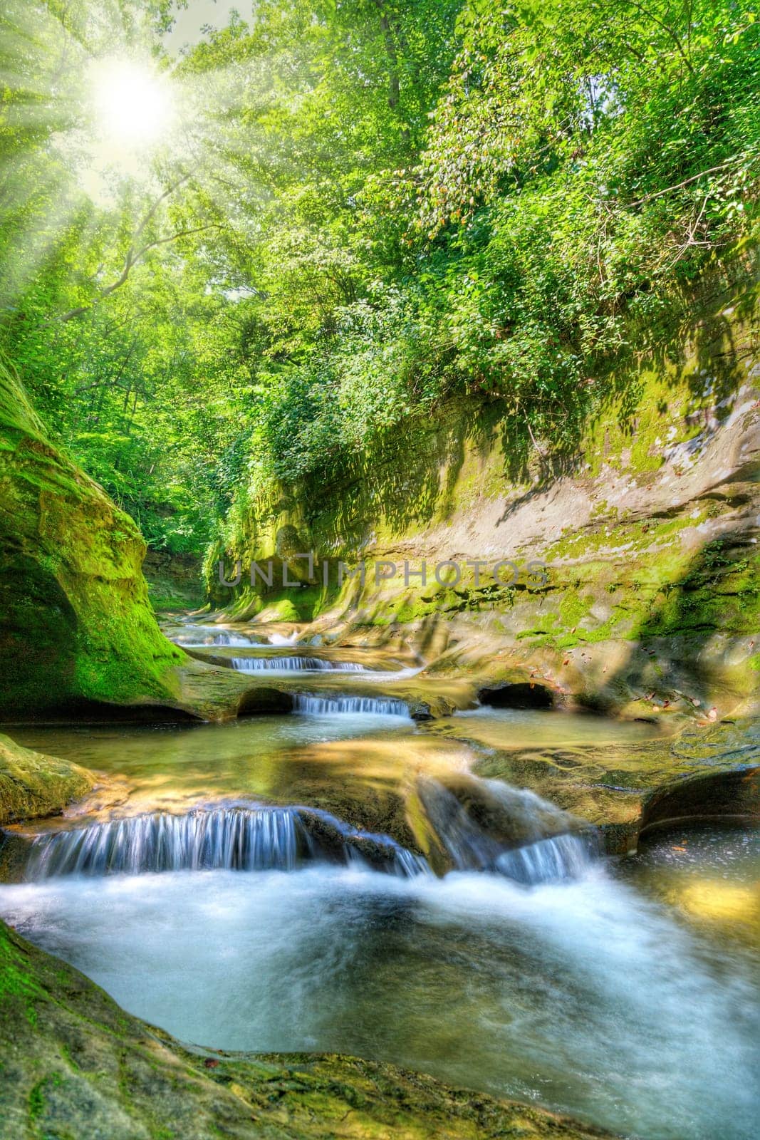 Gorge