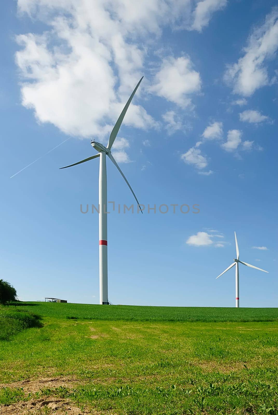 Grass Energy 3