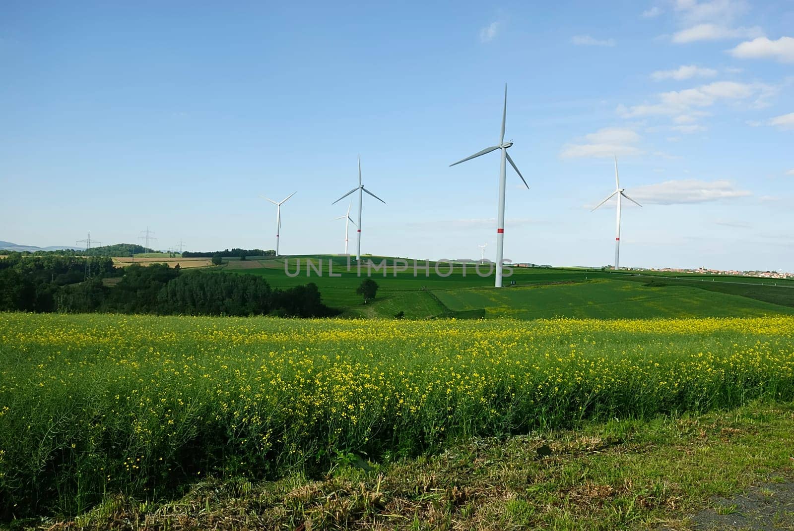 Grass Energy 5